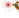 No new posts [ Popular ]