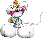 Who is Online
