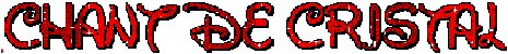  Forum Index
