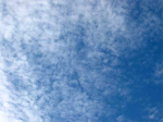 CIRROCUMULUS (Cc)