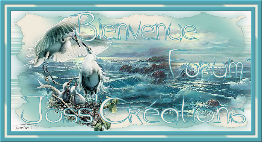 Joss'Créations Forum Index