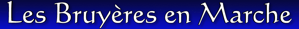  Forum Index
