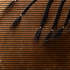 No new posts No new posts
