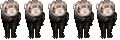 Furet Master