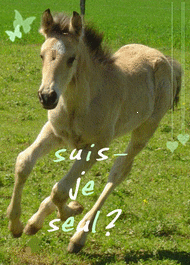 Qui est en ligne ?